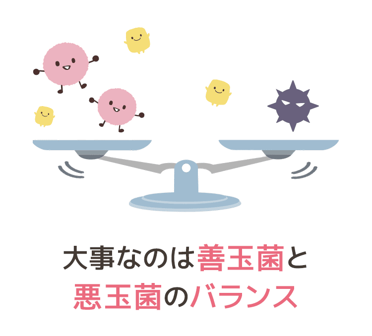 大事なのは善玉菌と悪玉菌のバランス