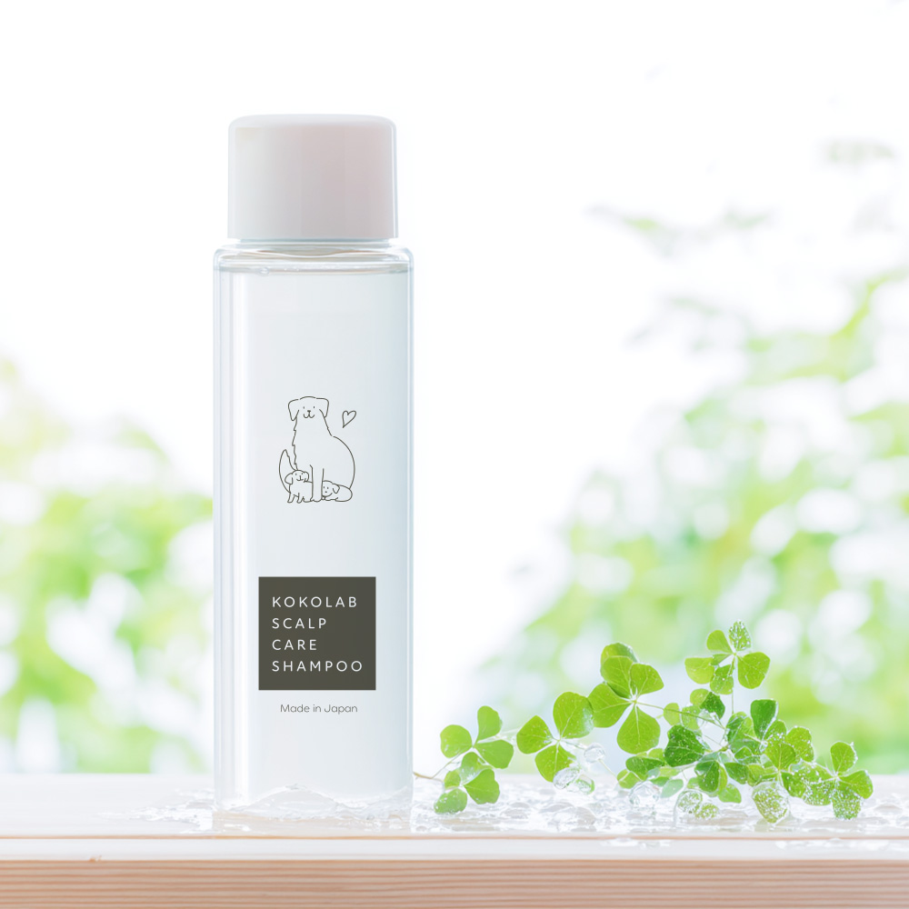 KOKOLAB スカルプケアシャンプー・トリートメント・セラムセット Amazon | ここラボスカルプケアシャンプー・トリートメント