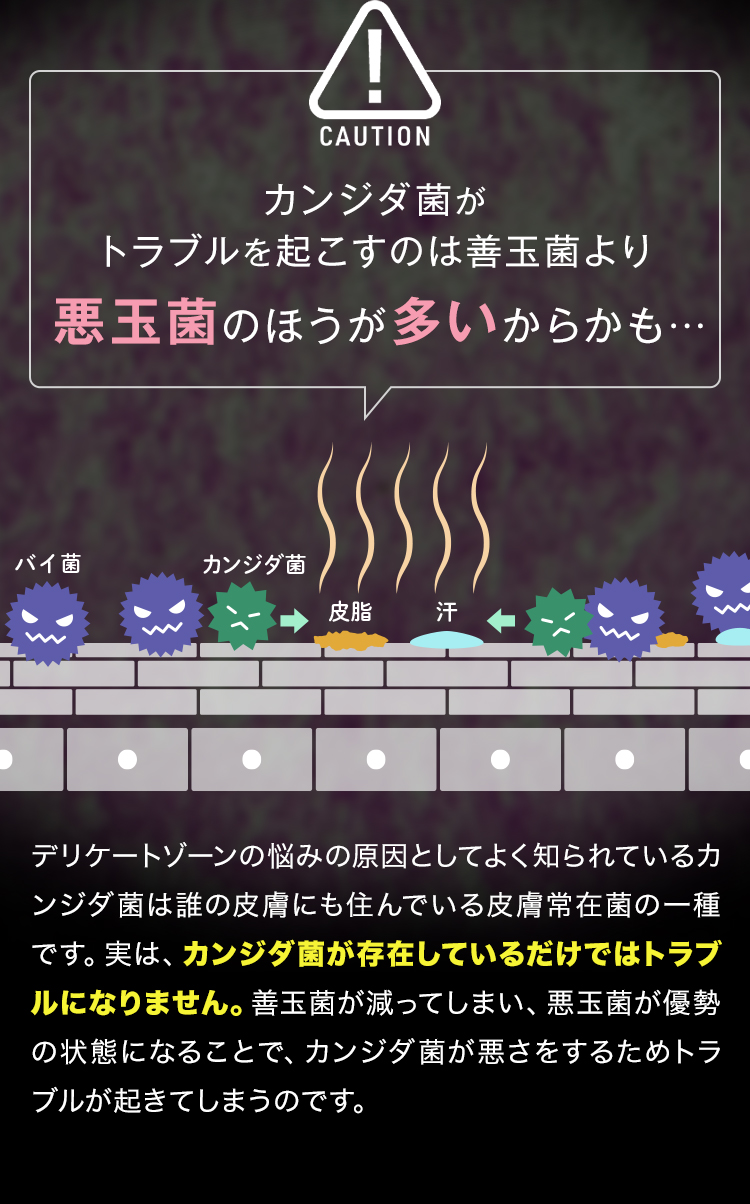カンジダ菌がトラブルを起こすのは善玉菌より悪玉菌のほうが多いからかも…