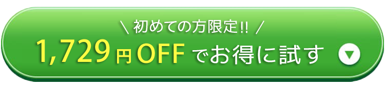 1,729円OFFでお得に試す