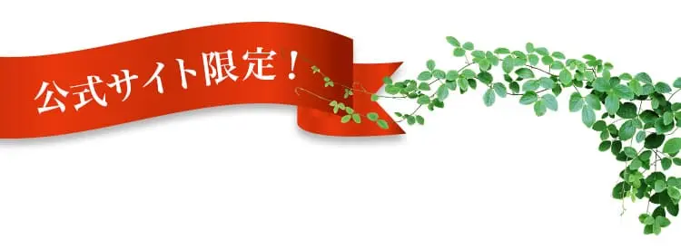 公式サイト限定!