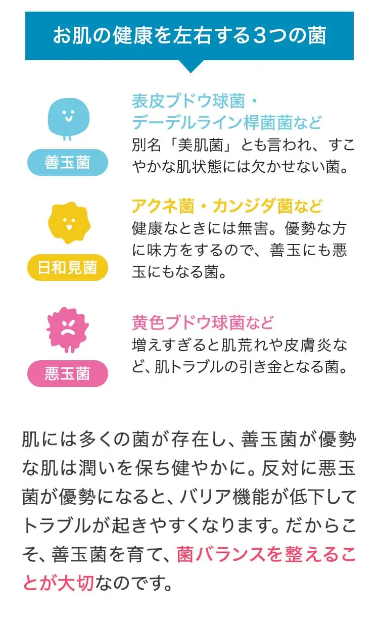 善玉菌を育て、菌バランスを整えることが大切