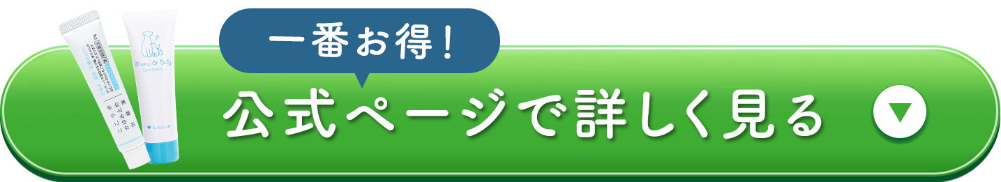 公式サイトはコチラ
