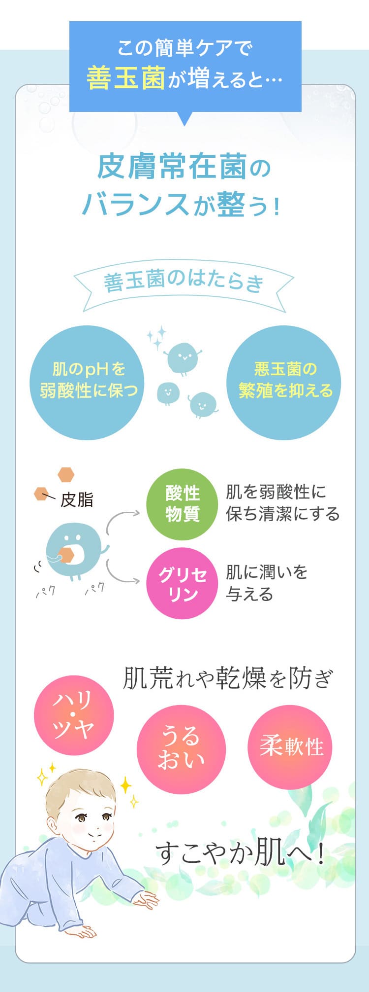 善玉菌が増えると皮膚常在菌のバランスが整う!