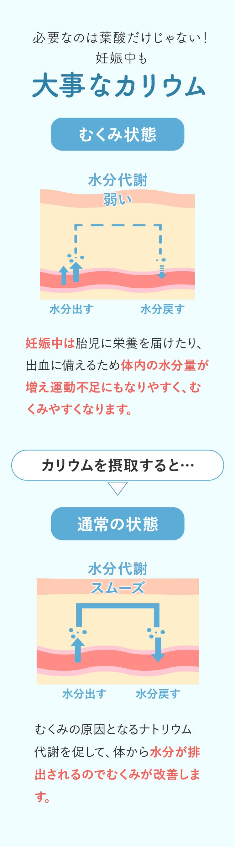 必要なのは葉酸だけじゃない！妊娠中も大事なカリウム