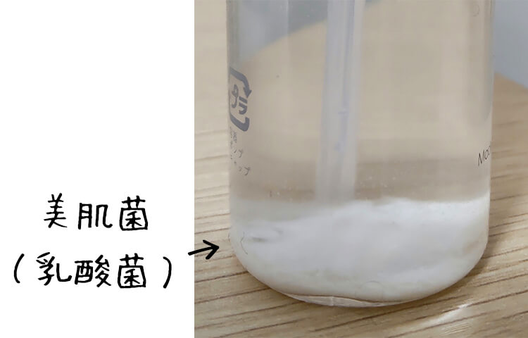たっぷりの美肌菌