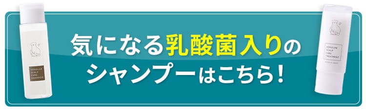 シャンプーのページはコチラ