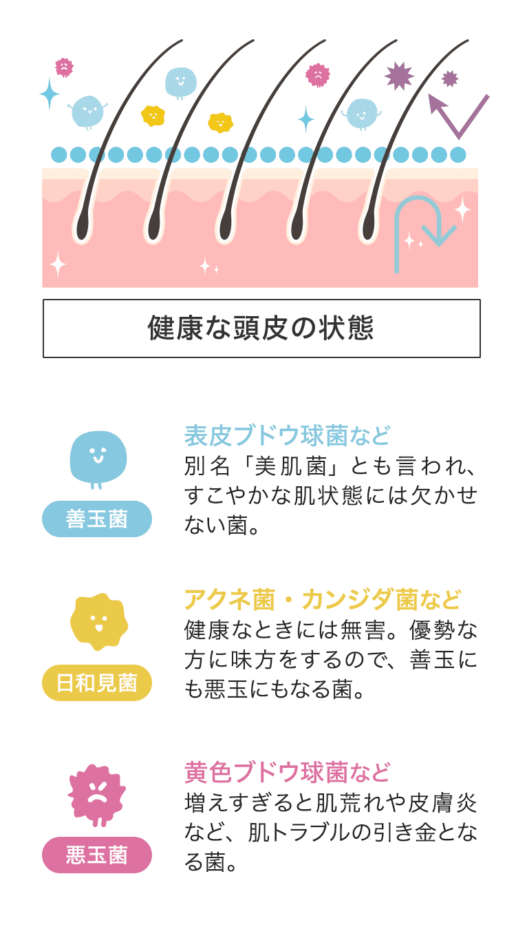 頭皮にもいろんな菌が住んでいる