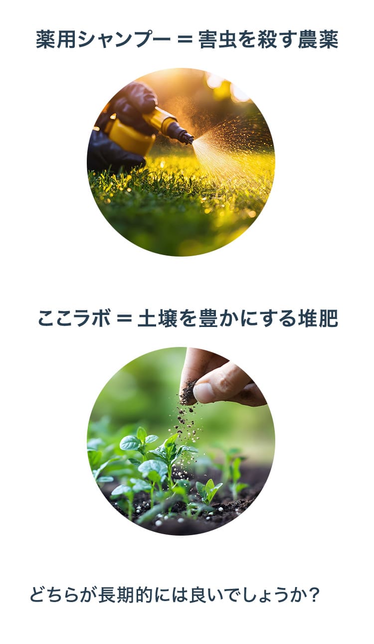 ここラボ = 土壌を豊かにする堆肥