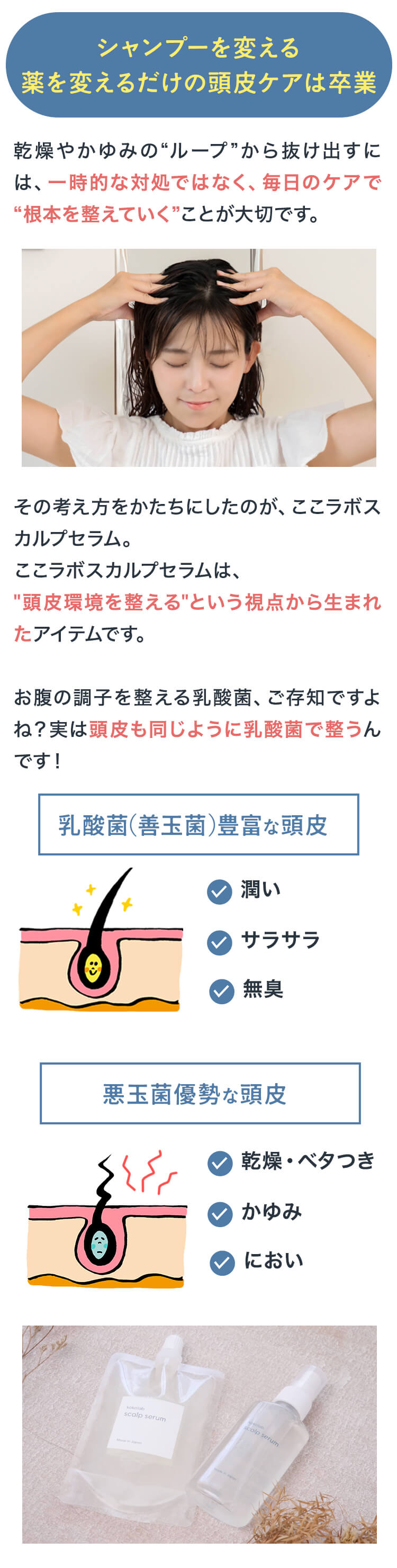 乳酸菌で整う