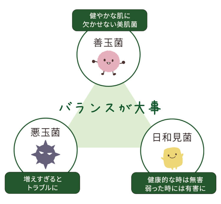 大事なのは善玉菌と悪玉菌のバランス