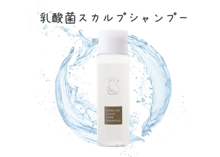 乳酸菌スカルプシャンプー