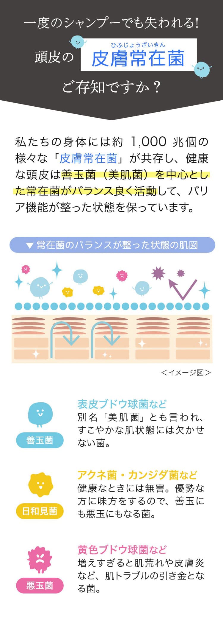 皮膚常在菌とは