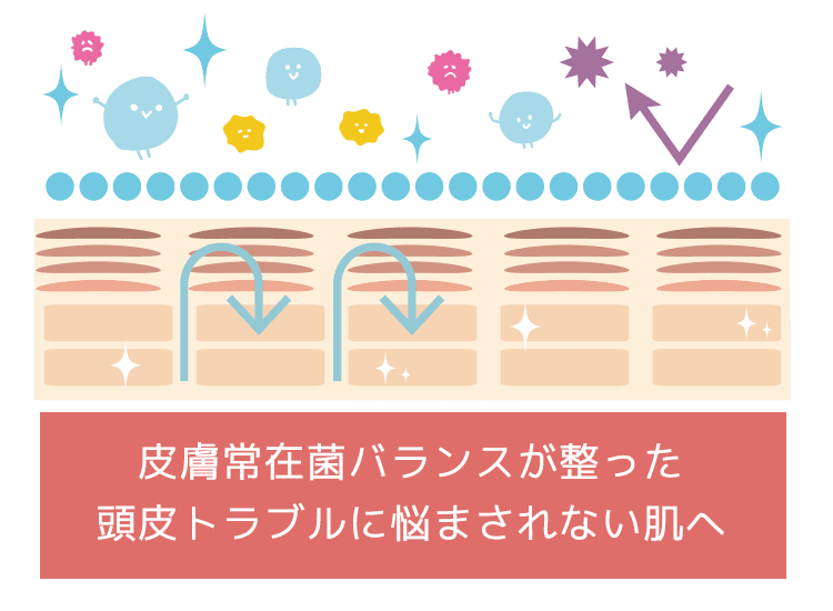 皮膚常在菌バランスが整った頭皮トラブルに悩まされない肌へ