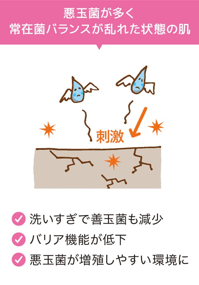 悪玉菌が優位な肌は皮膚常在菌のバランスが崩れていてバリア機能は低下状態