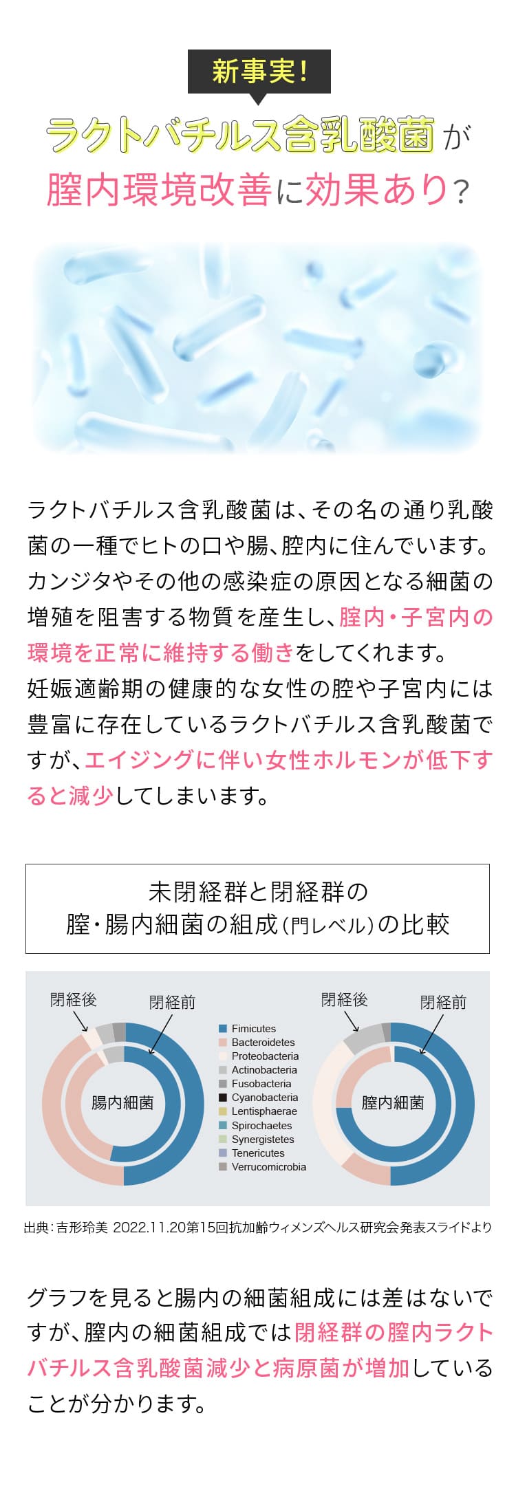 乳酸菌ラクトバチルスは女性の味方