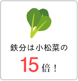 桑の葉に含まれる鉄分は、小松菜の15倍！